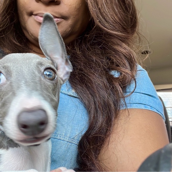 Live Show Notification - Picture 5 of 7